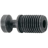 Format Spanschroef voor S32S, T15 M8x21mm