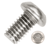 Rvs beveiligingschroef 2 gaten a2 m 6x50