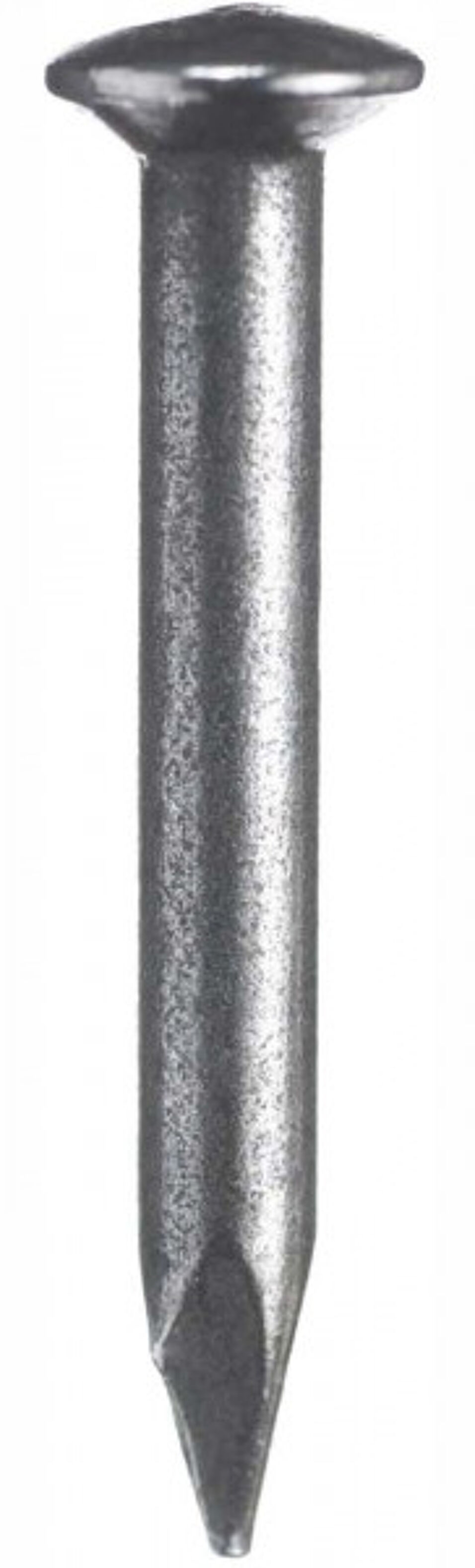 Product afbeelding Draadnagel staal bkv 2.0x30