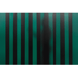 Cepro laslamel dark green non-transparant 300 x 3 per meter