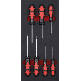 Format Module schroevendraaiers Torx 1/3