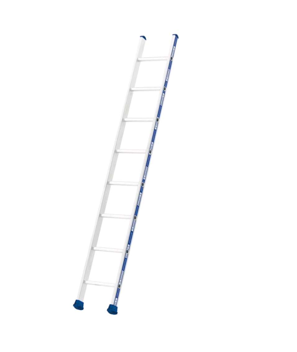 Product afbeelding Enkele ladder 2410 - 10 treden