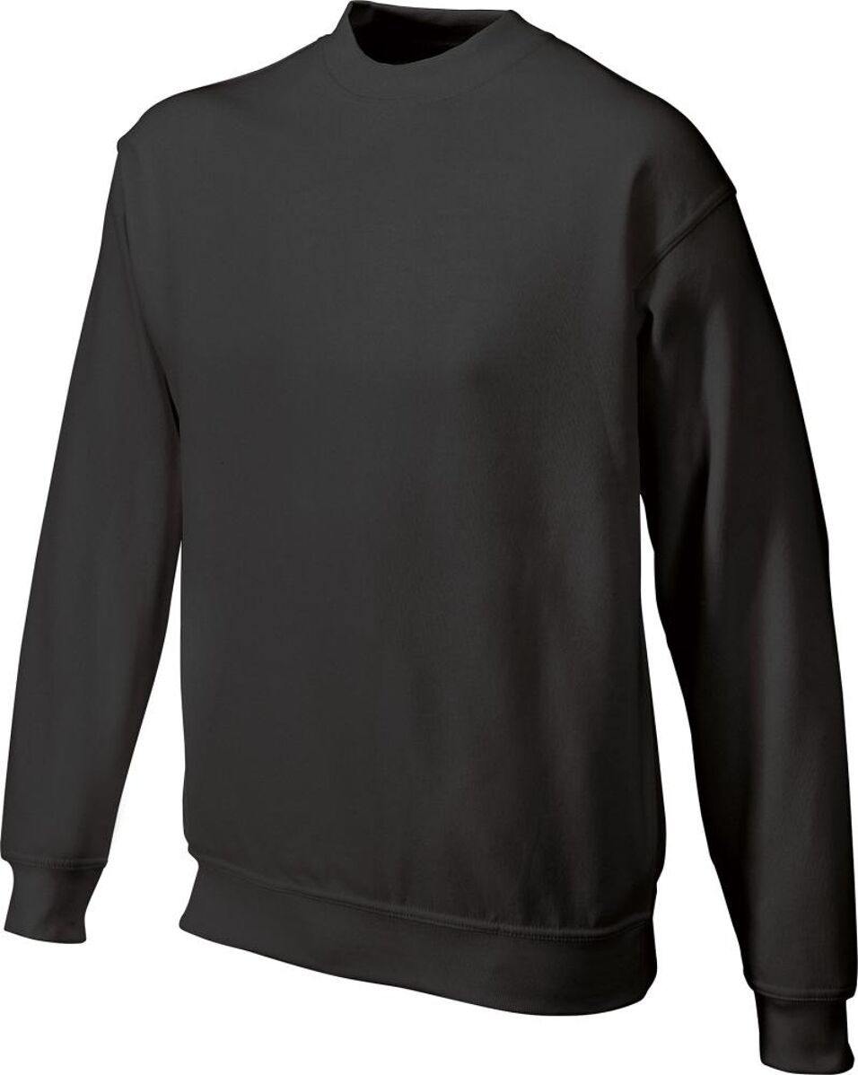 Product afbeelding Promodoro sweatshirt graphite maat L