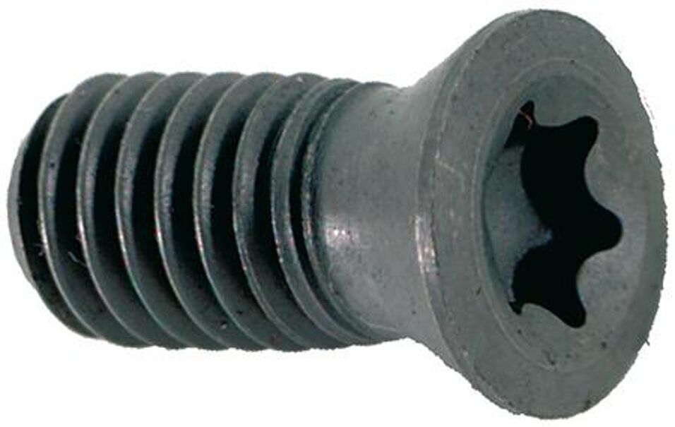 Product afbeelding Torx-schroef US 3007-TP09