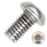 rvs bolkop anti diefstalschroef m10