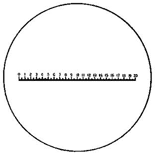 Eschenbach Vervangings-meetschalen Type D