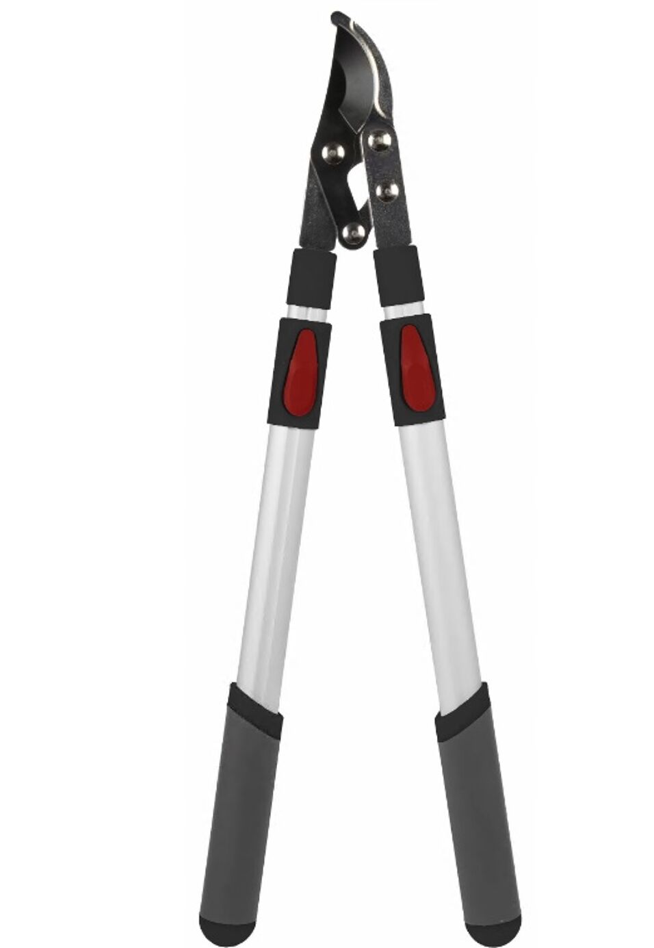 Product afbeelding Takkenschaar telescopisch        66-99cm