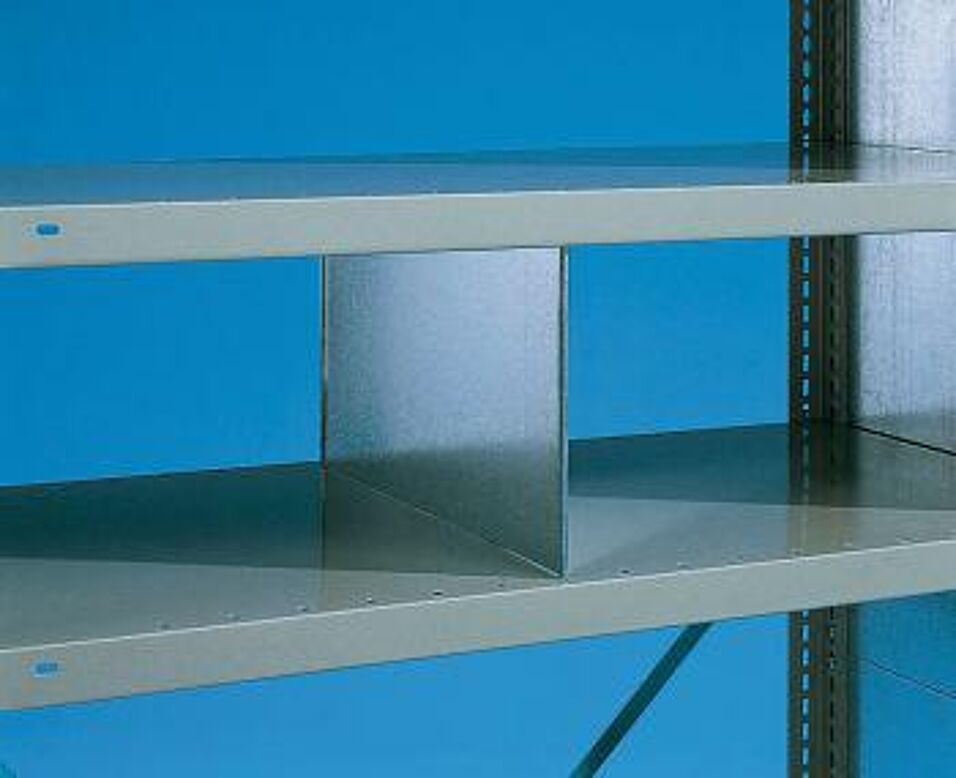 Product afbeelding MSN vakverdeler diepte 300 x hoogte 300 vzk (270 x 240) doorlopend