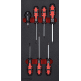 Format Module schroevendraaiersr 1/3