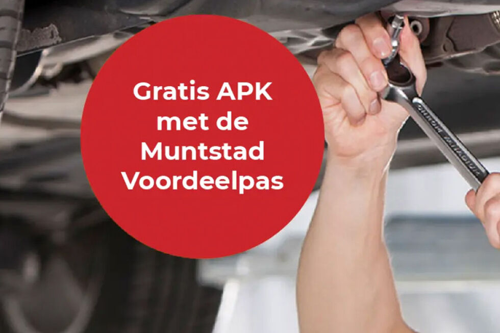 muntstad-onderhoud-reparatie-over-apk